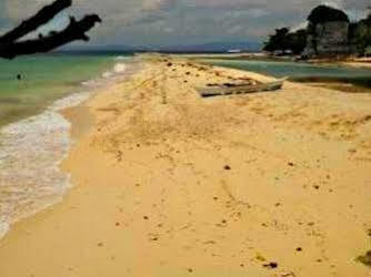 Pamilacan Island Tourist Inn And Restaurant Bohol Bagian luar foto