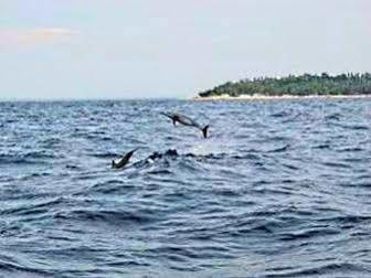 Pamilacan Island Tourist Inn And Restaurant Bohol Bagian luar foto